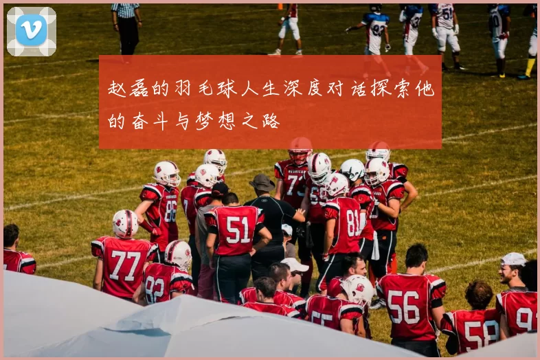 赵磊的羽毛球人生深度对话探索他的奋斗与梦想之路
