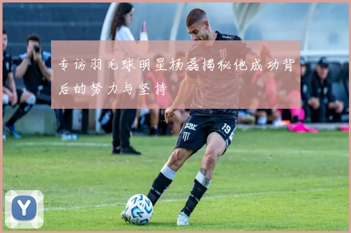 专访羽毛球明星杨磊揭秘他成功背后的努力与坚持