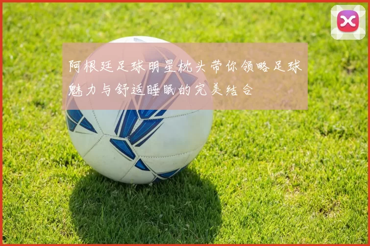 阿根廷足球明星枕头带你领略足球魅力与舒适睡眠的完美结合