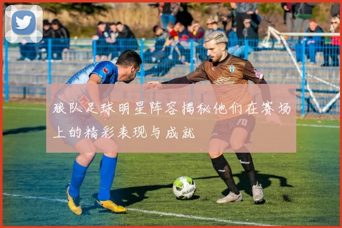 狼队足球明星阵容揭秘他们在赛场上的精彩表现与成就