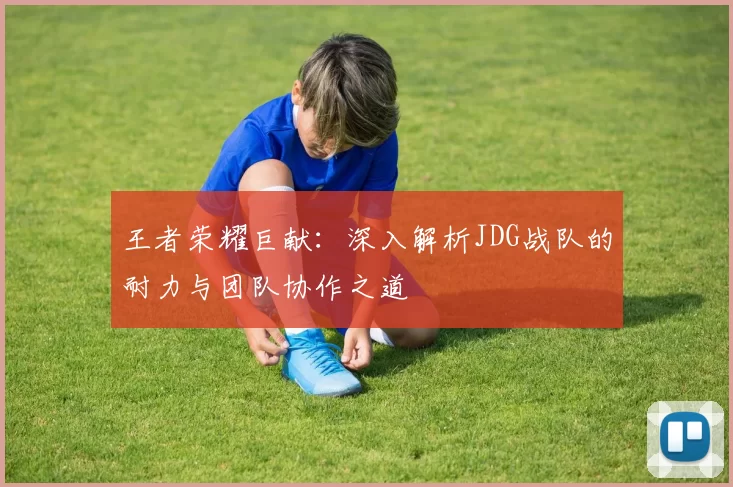 王者荣耀巨献：深入解析JDG战队的耐力与团队协作之道