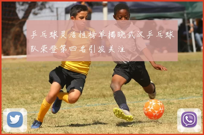 乒乓球灵活性榜单揭晓武汉乒乓球队荣登第四名引发关注