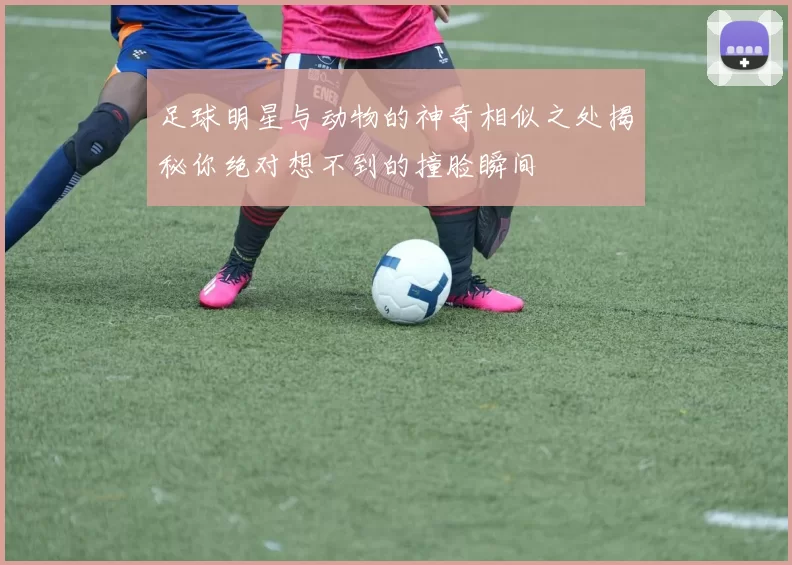 足球明星与动物的神奇相似之处揭秘你绝对想不到的撞脸瞬间