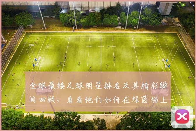 全球最矮足球明星排名及其精彩瞬间回顾，看看他们如何在绿茵场上创造传奇
