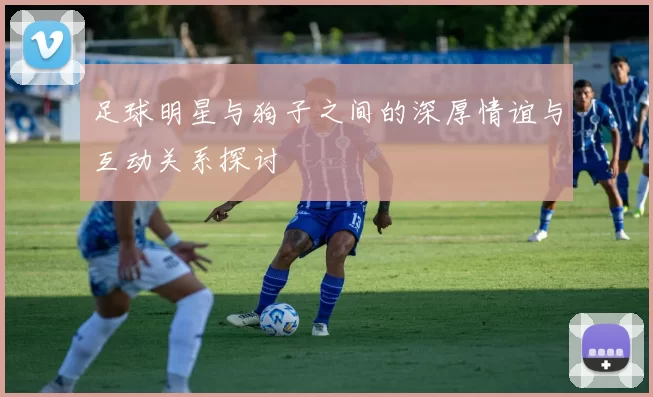 足球明星与狗子之间的深厚情谊与互动关系探讨