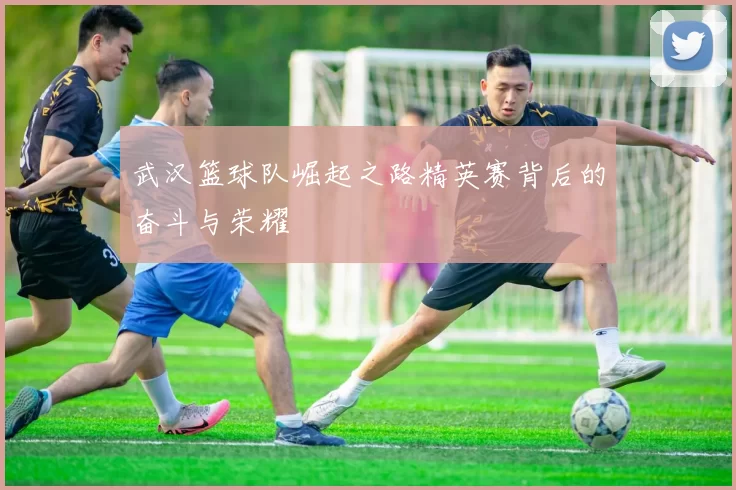 武汉篮球队崛起之路精英赛背后的奋斗与荣耀