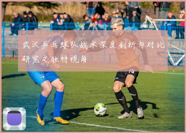 武汉乒乓球队战术深度剖析与对比研究之独特视角