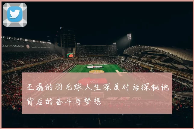 王磊的羽毛球人生深度对话探秘他背后的奋斗与梦想