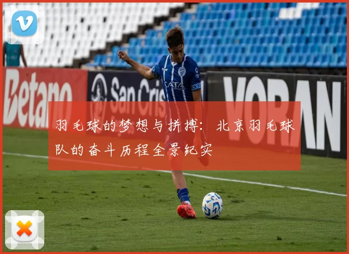 羽毛球的梦想与拼搏：北京羽毛球队的奋斗历程全景纪实