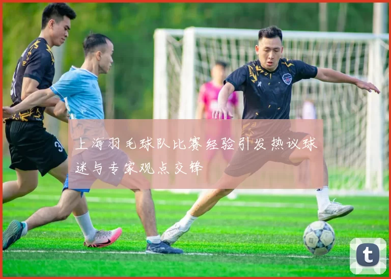 上海羽毛球队比赛经验引发热议球迷与专家观点交锋