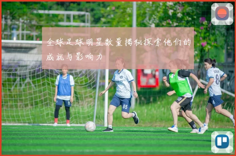 全球足球明星数量揭秘探索他们的成就与影响力