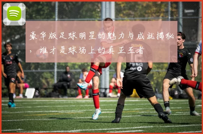 豪华版足球明星的魅力与成就揭秘，谁才是球场上的真正王者