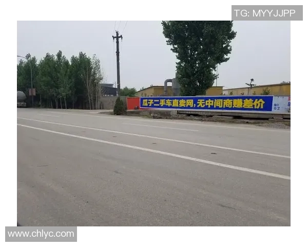 打造全新品牌形象，从创意广告到深度传播，激发市场无限潜力