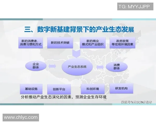 媒体在新时代的责任与挑战：数字化转型下的舆论引导与社会影响力分析