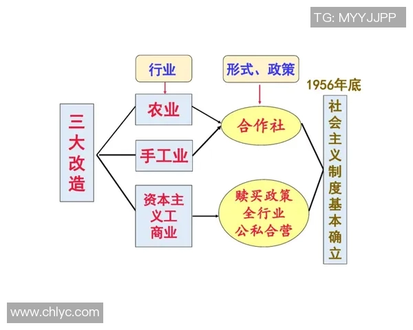 竞技体操评分体系解析与评价标准改革探索