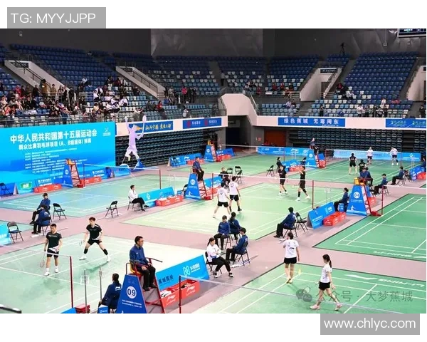 羽毛球的魅力与精神：深入解析北京羽毛球队的团队意识与文化传承