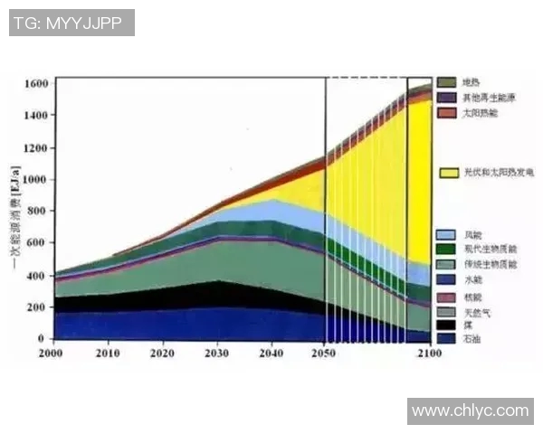 北京极限运动队的中路突破与未来发展趋势深度解析