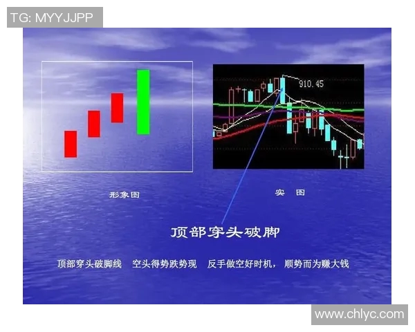 深入分析上海排球队反击战术的独特魅力与实战应用