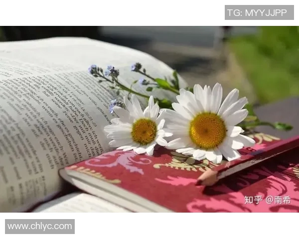 深度对话：探索杨敏羽毛球生涯背后的故事与心路历程