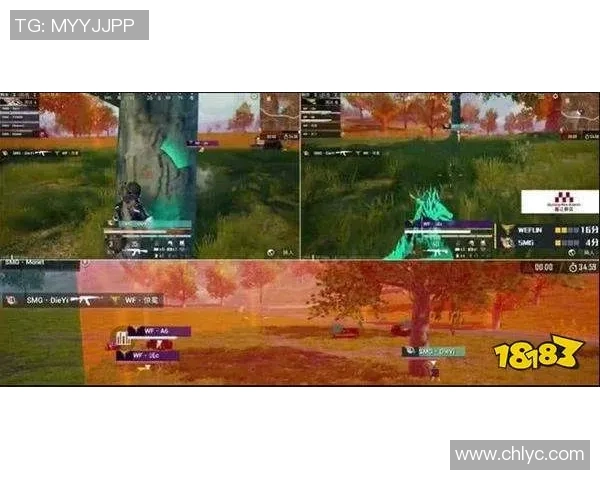 TES战队个人能力深度分析与DOTA2战术影响探讨